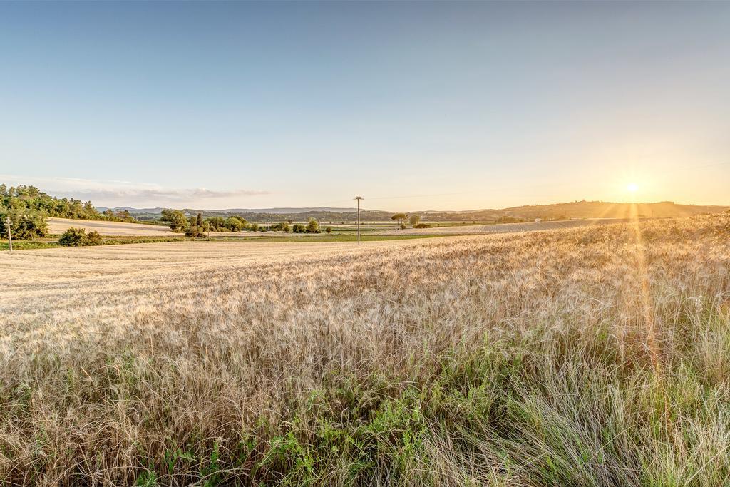 Agriturismo Il Poggiarello Фояно-делла-К'яна Екстер'єр фото